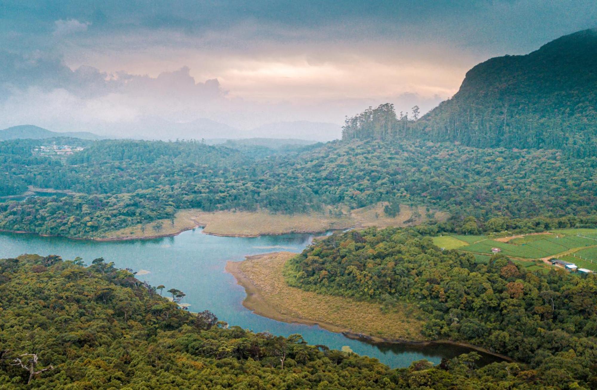 The Forest And Lake By Schofieldshire Nuwara Eliya Extérieur photo